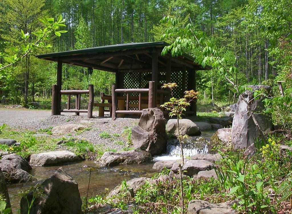 Alpine Inn Mizushiro Мацумото Экстерьер фото