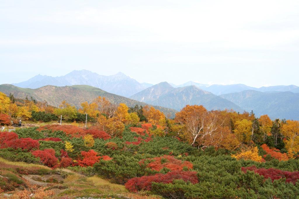 Alpine Inn Mizushiro Мацумото Экстерьер фото