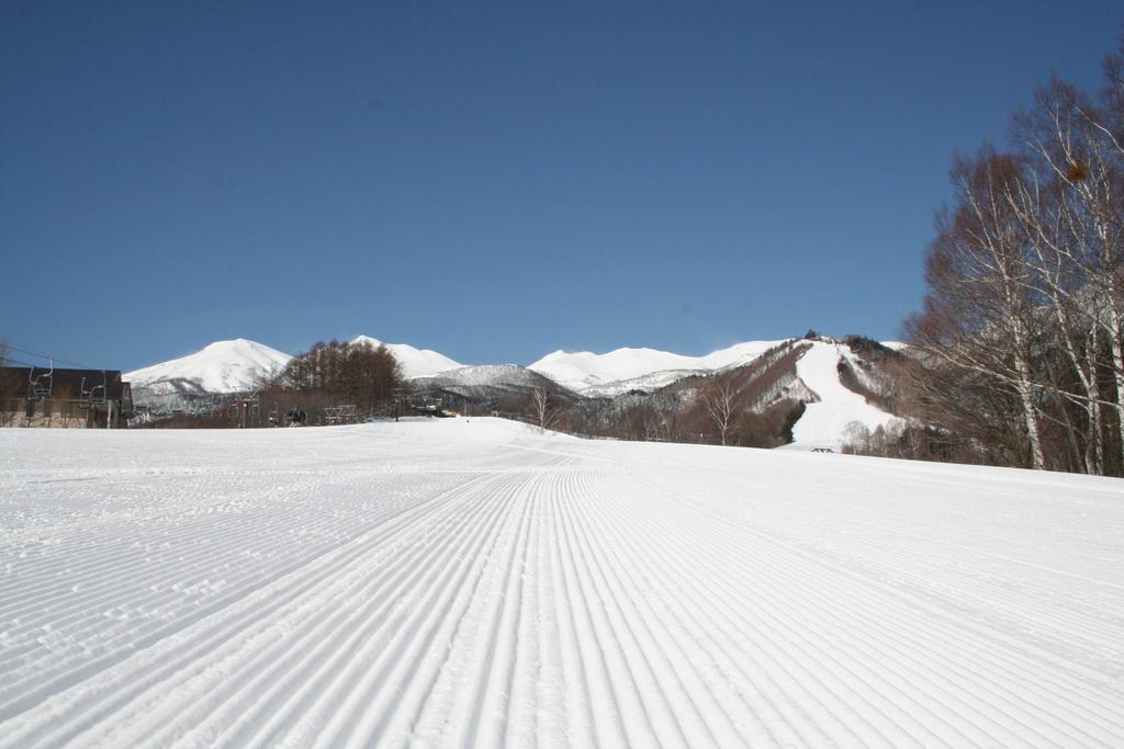 Alpine Inn Mizushiro Мацумото Экстерьер фото